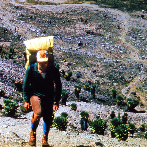 Wejście na Kilimandżaro 1976 r. Polish Student Expedition